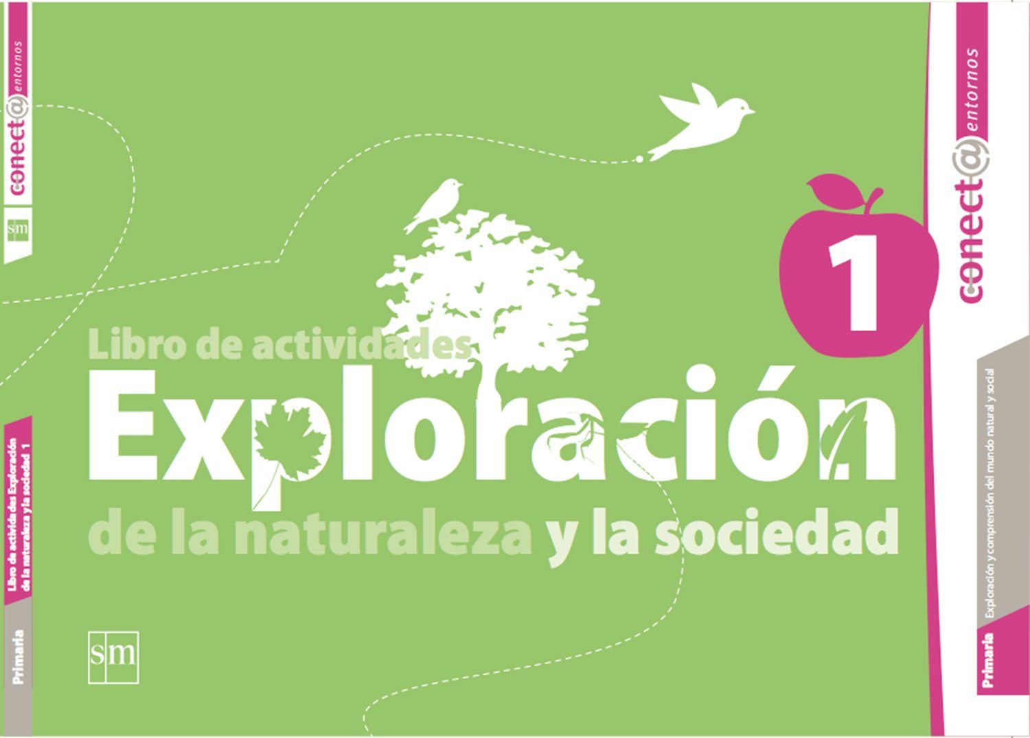 EXPLORACION DE LA NATURALEZA Y LA SOCIEDAD 1º CONECTA ENTORNOS+++