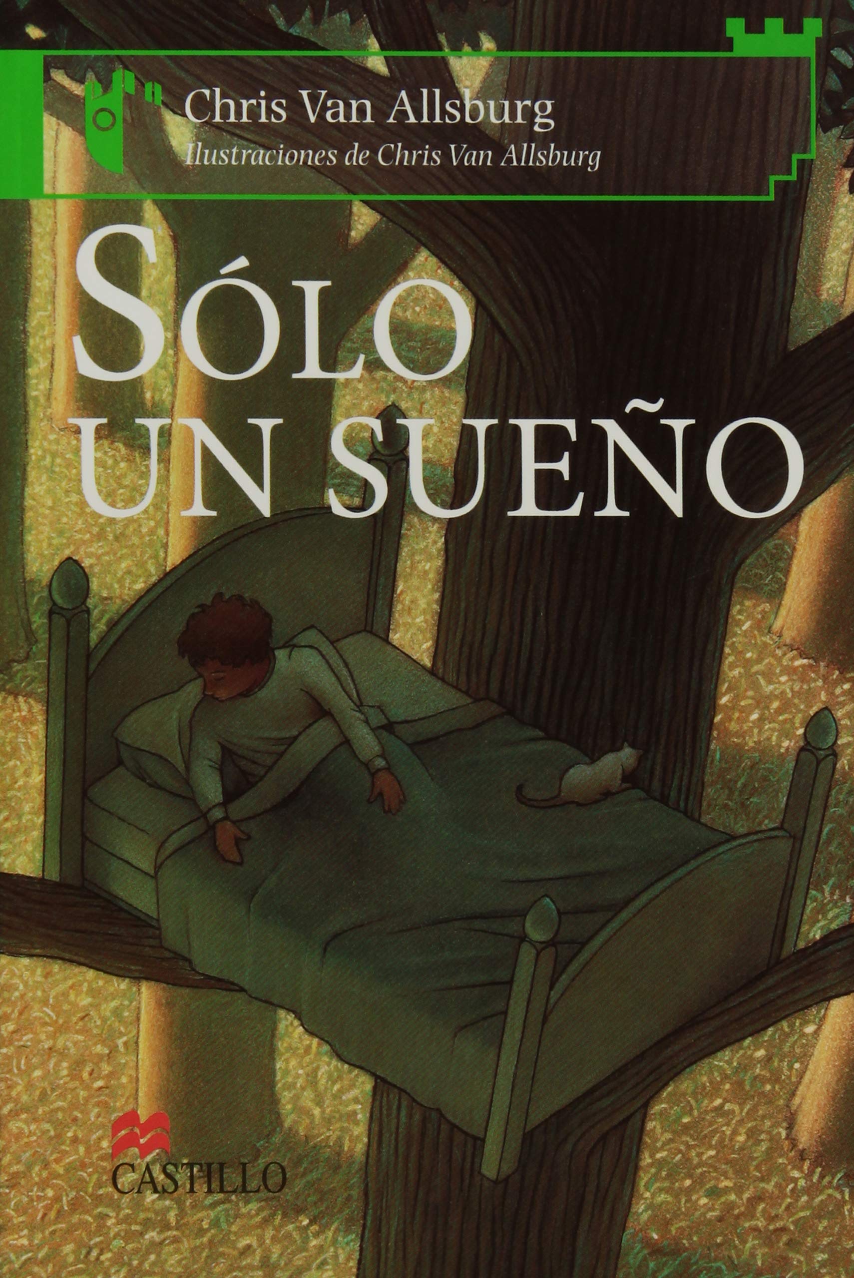 SOLO UN SUEÑO/ SERIE VERDE
