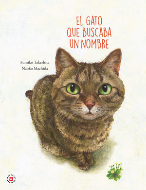 EL GATO QUE BUSCABA UN NOMBRE