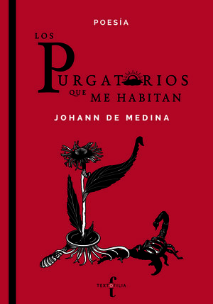 LOS PURGATORIOS QUE ME HABITAN