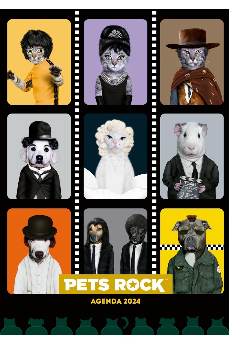 AGENDA 2024. PETS ROCK MOSAICO CINE