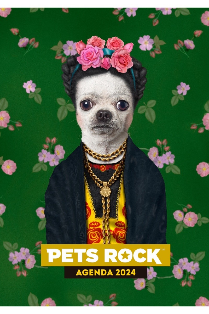AGENDA 2024. PETS ROCK FIZZ VERDE