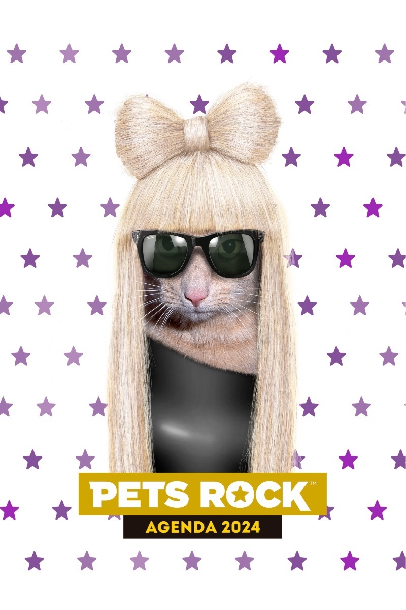 AGENDA 2024. PETS ROCK MISSY BLANCA