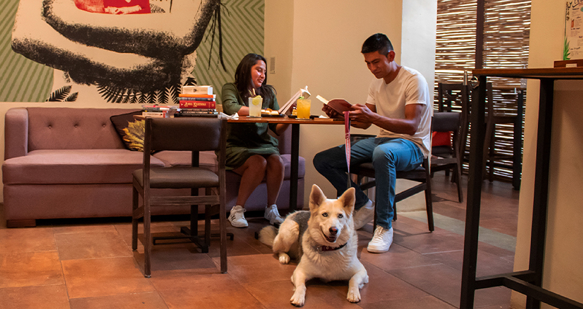 La Proveedora libros para todos.