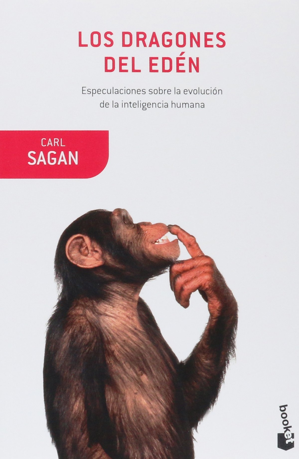 LOS DRAGONES DEL EDEN