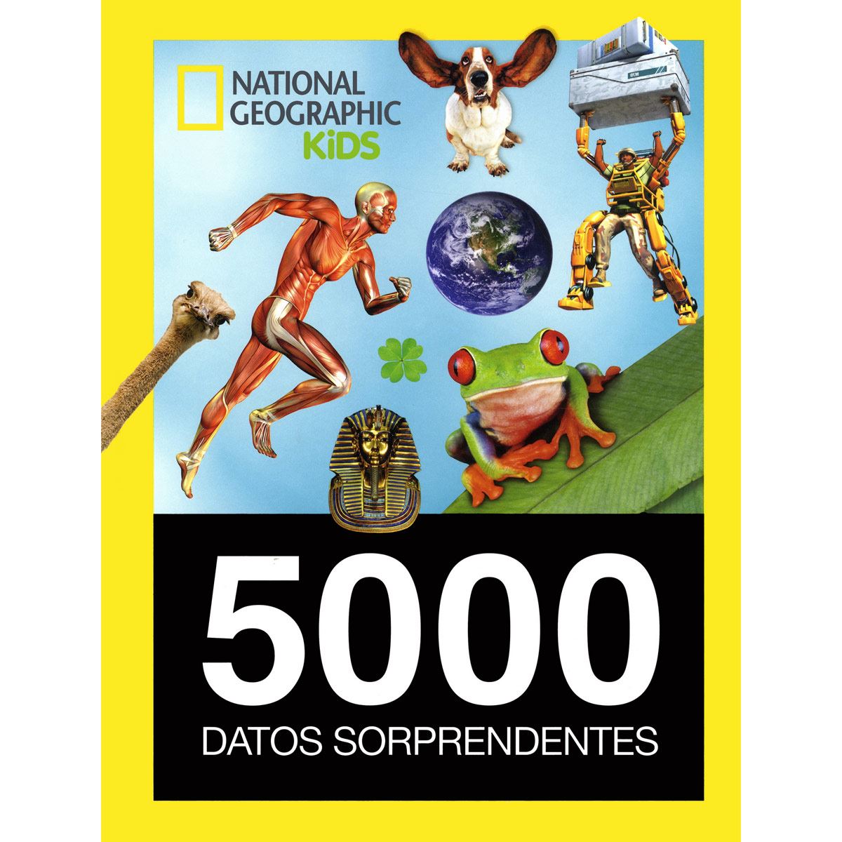 5000 DATOS SORPRENDENTES +++