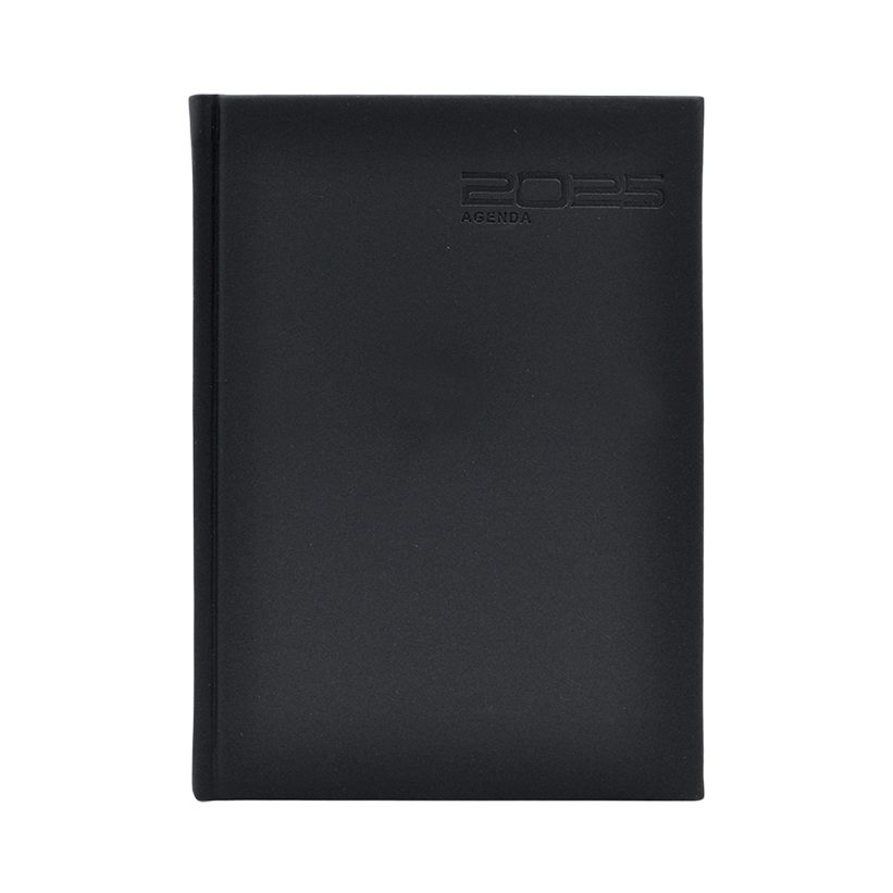 AGENDA 2025 DIARIA MOD. MI213-24 CUB. MILANO DANPEX