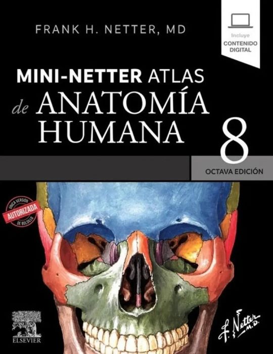 NETTER-MINI NETTER ATLAS DE ANATOMIA HUMANA