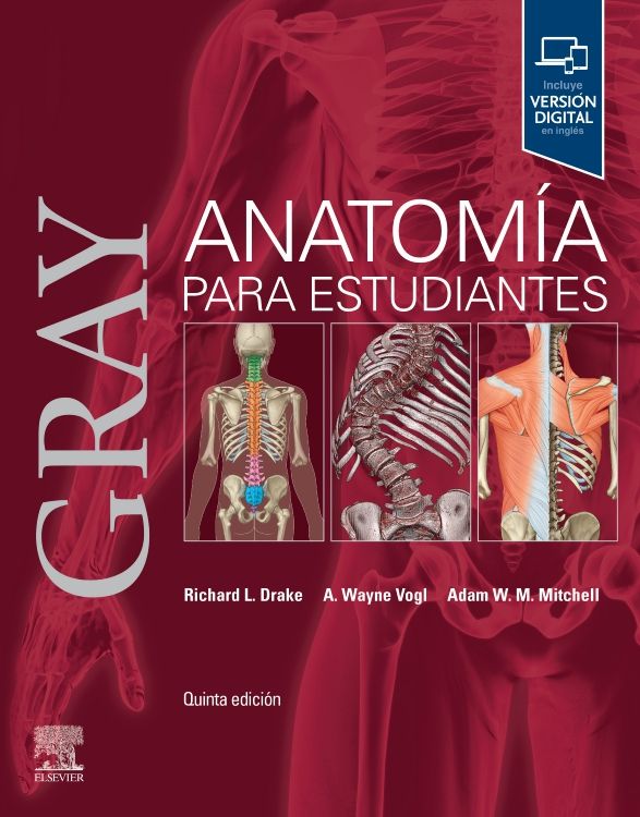 GRAY. ANATOMIA PARA ESTUDIANTES