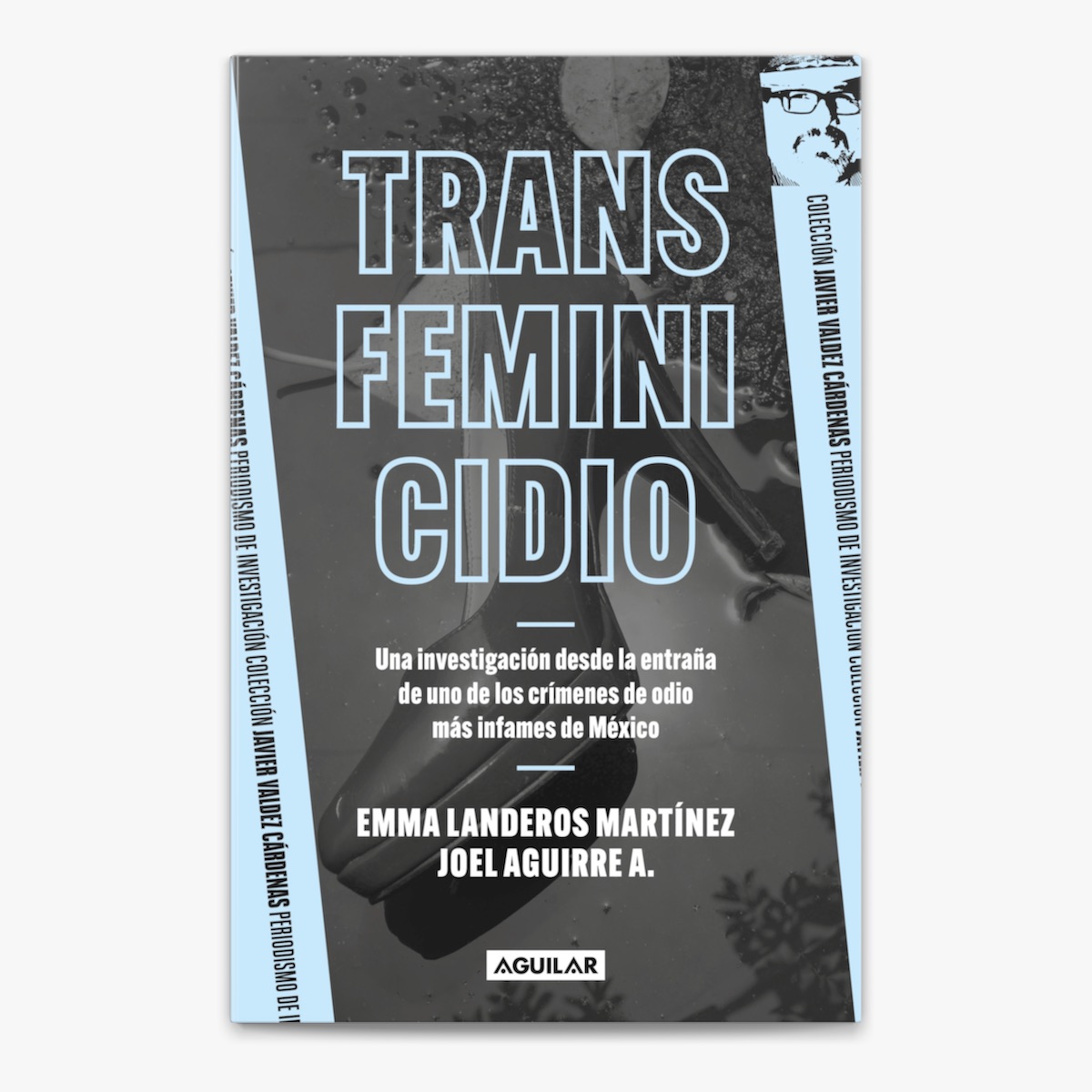 TRANSFEMINICIDIO